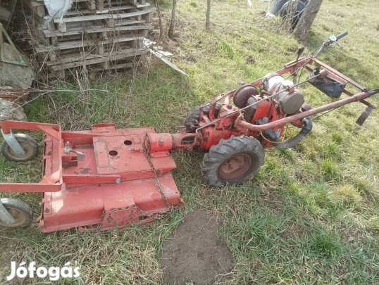 MF 70 szárzúzó-gazvágó