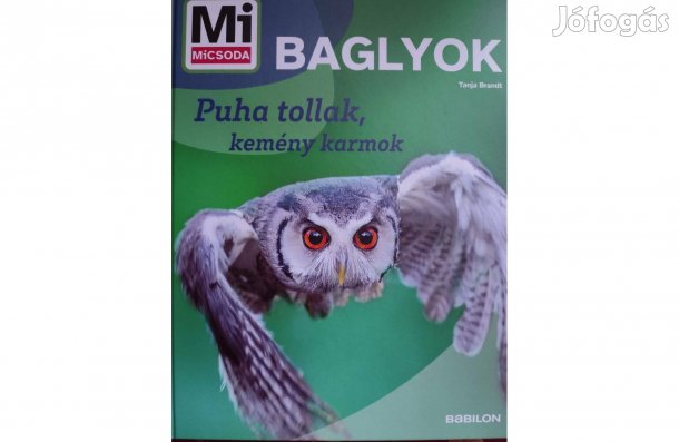 MI Micsoda (Új): Baglyok