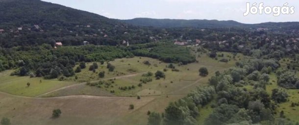 MOST MÉG VÁLOGATHAT!!