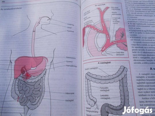 MSD orvosi kézikönyv 1512 oldal eladó