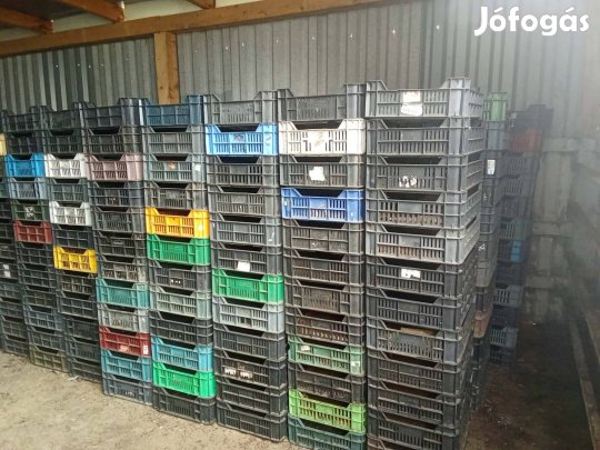 M 10 rekesz láda 600 db