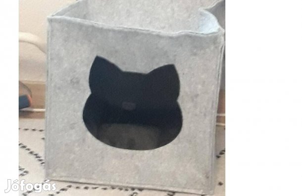 Macska búvó kuckó