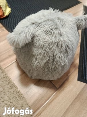 Macska fekhely, macska barlang