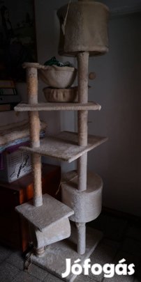 Macska kaparófa/nagy méretű/ eladó! 