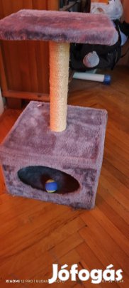 Macska pihenő 