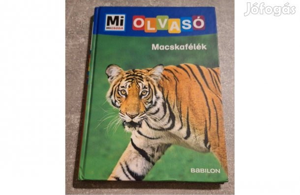 Macskafélék,érdekes könyv