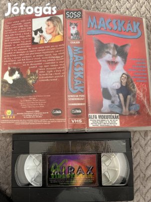 Macskák vhs kistok családi