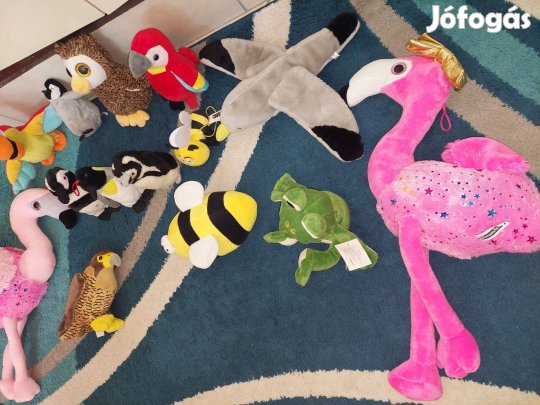 Madár ,béka és egyebek