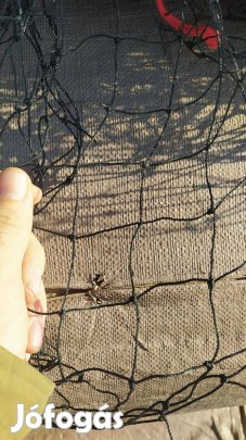 Madár háló, fácán háló