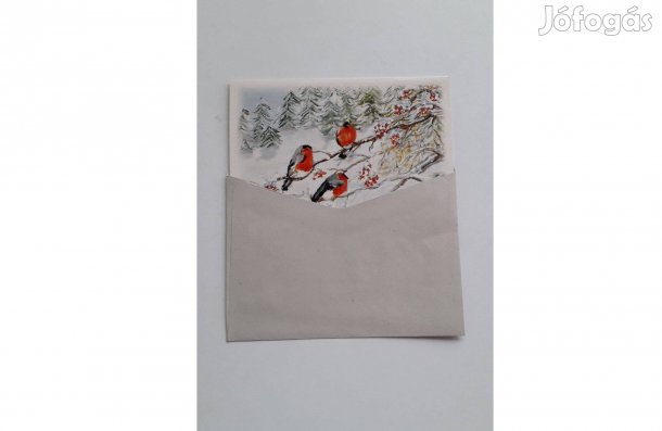 Madár mintás kihajtható tiszta képeslap borítékkal