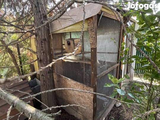 Madár volier ketrec madárház