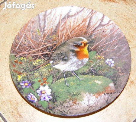 Madaras porcelán falitányér