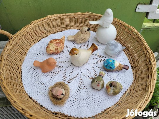 Madárka gyűjtemény 10 db