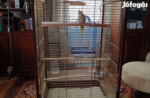 Madárketrec eladó