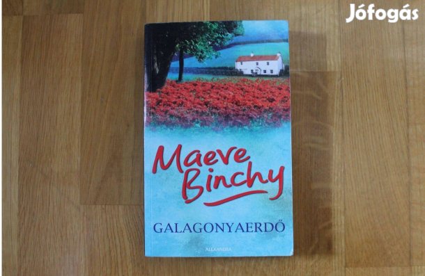 Maeve Binchy - Galagonyaerdő