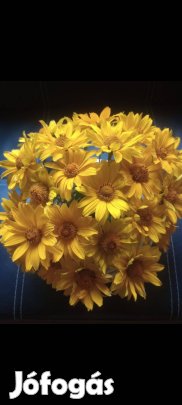 Mag: Évelő napszemvirág