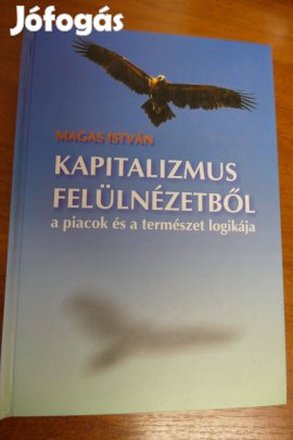 Magas István : Kapitalizmus felülnézetből
