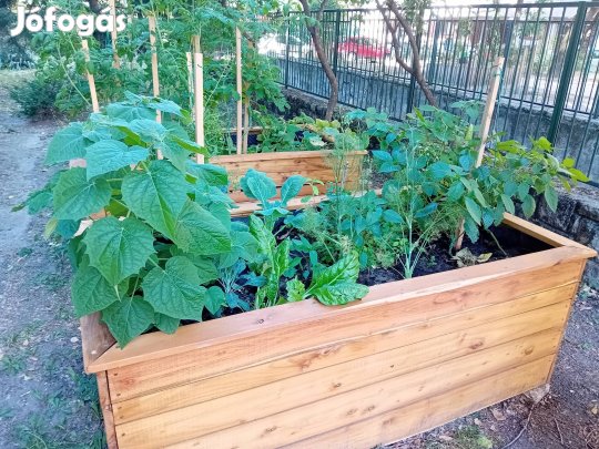 Magaságyás akácból