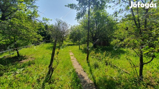 Magashegyen eladó 800 m2-es belterületi panorámás telek!