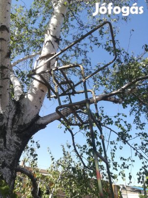 Magasles, vadász les