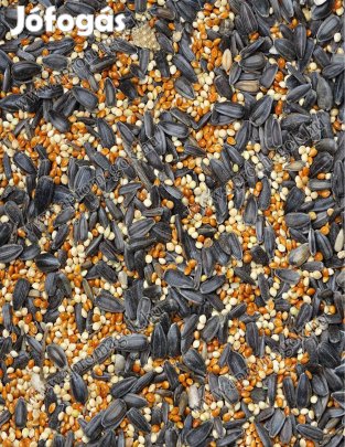 Magkeverék téli madáretetéshez eladó, postai szállítással is