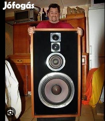 Magnat Transpulsar 80 magassugárzó pár