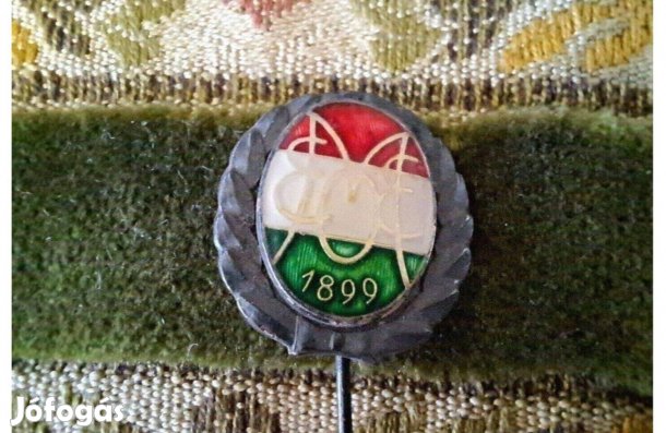 Magyar ebtenyésztők kitűző