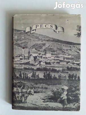 Magyar műemlék városok sorozat 14 kötete egyben 6000 ft