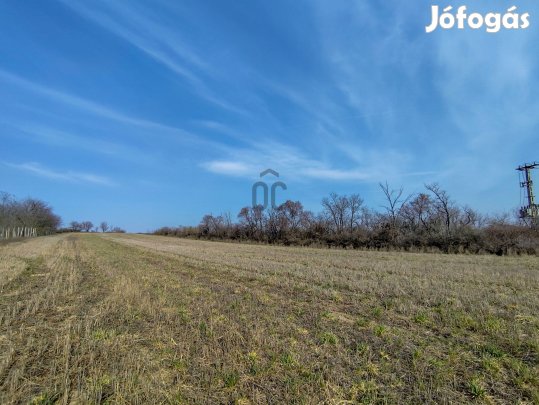 Magyaralmás Öreghegyén szántó eladó!