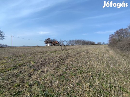 Magyaralmás Öreghegyén zártkerti telek eladó!