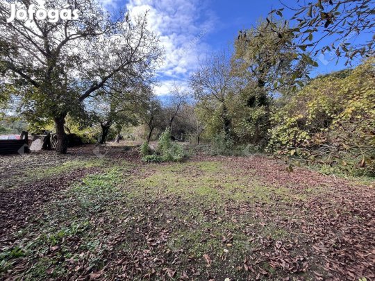 Magyarszecsődi 10840 nm-es telek eladó