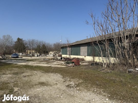 Majosháza, 51-es uthoz utca, 900 m2-es, telephely, felújítandó