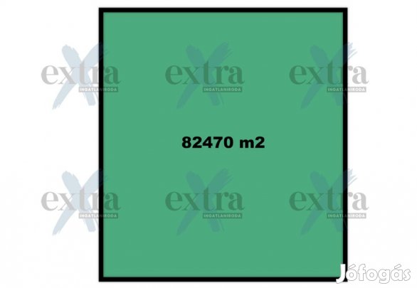 Makó külterületén erdő