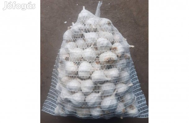 Makói tavaszi fokhagyma