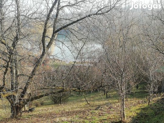 Malomvölgyi tóhoz közel panorámás zártkerti telek