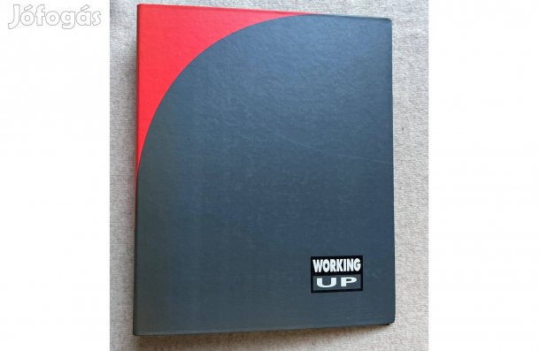 Mappa, irattartó, gyűrűs 2db