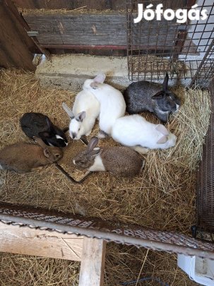 Már mennénk máshova!