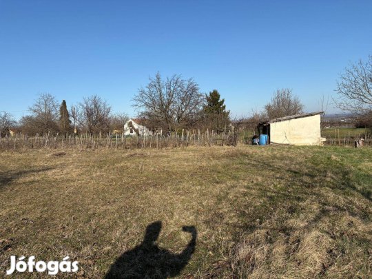 Marcali telek Borbarátok utja