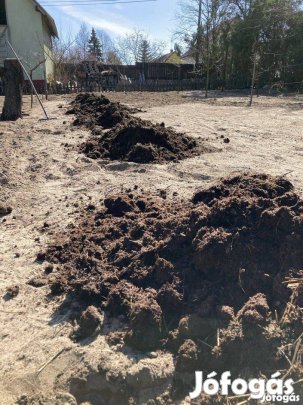 Marha Trágya Rendelhető Házhoz! tiszta!