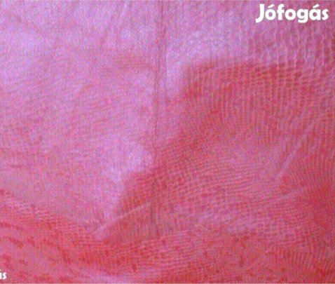 Marhabőr valódi bőr kárpit anyag Új