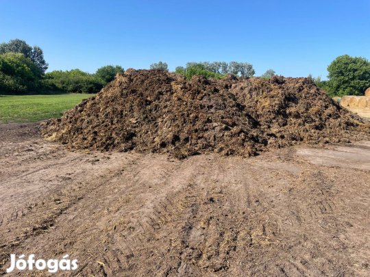 Marhatrágya eladó