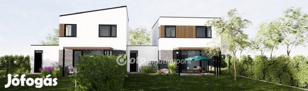 Máriakálnoki 91 nm-es ház eladó