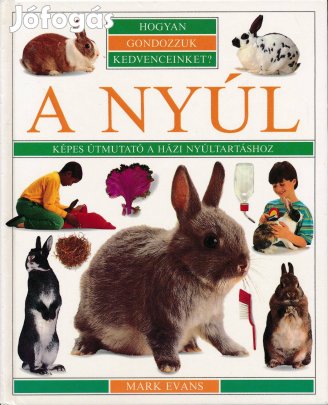 Mark Evans: A nyúl