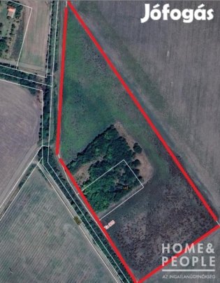 Mártély külterület, szántóföld eladó!