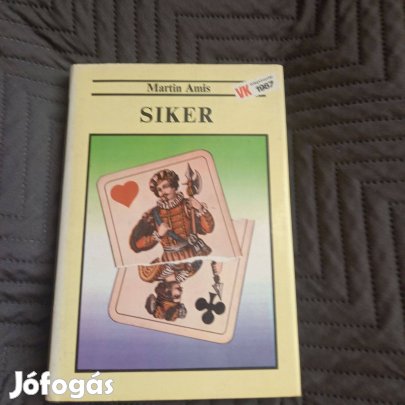 Martin Amis: A siker