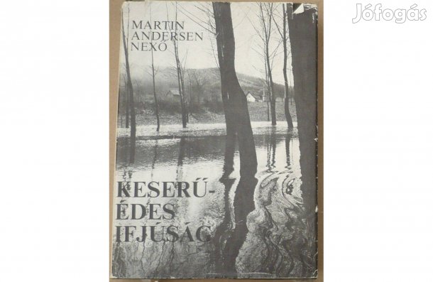 Martin Andrsen Nexö: Keserű-édes ifjúság