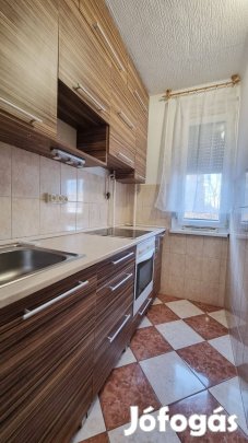 Másfél szobás kiadó lakás Nyíregyháza Ungvár sétány