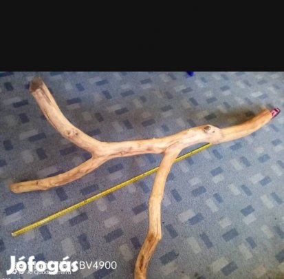 Mászófa dekor fa terráriumba