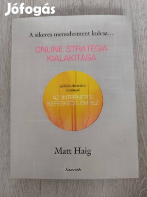 Matt Haig: Online stratégia kialakítása - újszerű marketing szakkönyv
