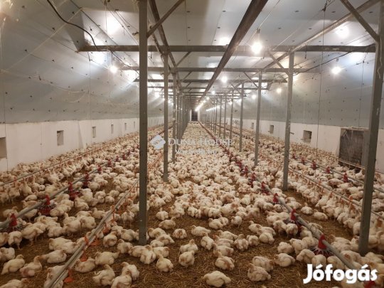 Mátyásdombi eladó 3000 nm-es üzem